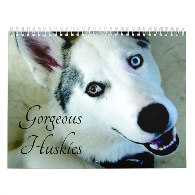 Calendrier Sibérien Husky Chien 2026 (Protection)