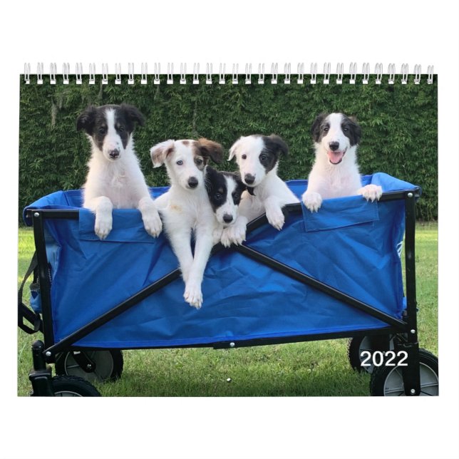 Calendrier Silken Windhounds 2022 (Chiots) (Protection)