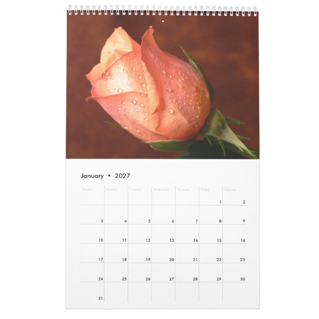 Calendrier simple rose 2017 (Jan 2027)