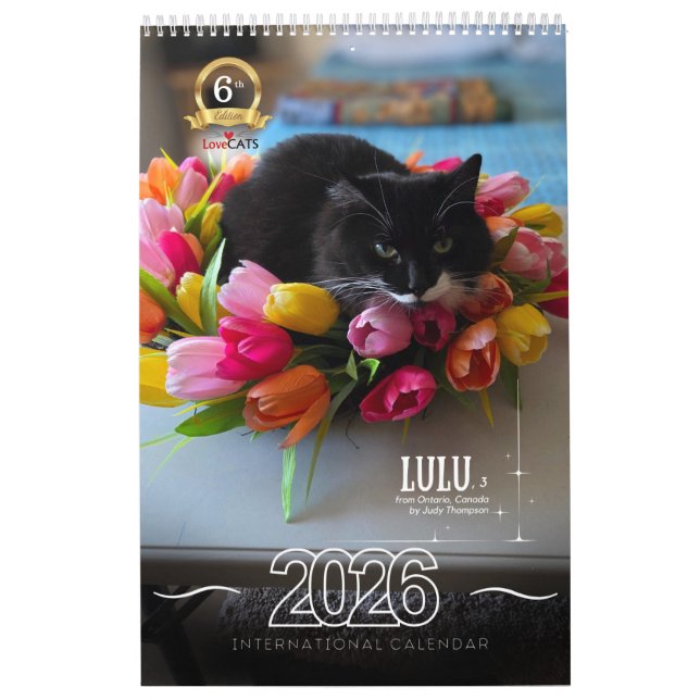 Calendrier Sixth Edition 2026 Calendar (Protection)