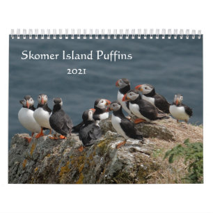 Calendrier Skomer Island Puffins 2021 Pays de Galles