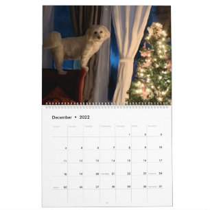 Calendrier Sm, Med, Lg - Peintures numériques ***