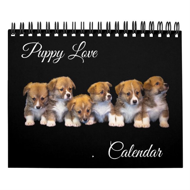 Calendrier Small Size Puppy Love Calendar (Protection)