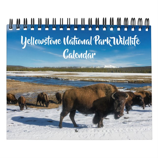Calendrier Small Size Yellowstone Calendar-Wildlife Calendar (Protection)