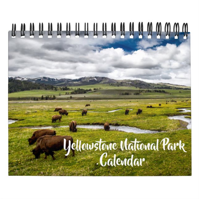 Calendrier Small Yellowstone Park Calendar (Protection)