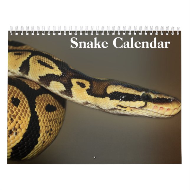 Calendrier Snake Calendar 2025 (Protection)