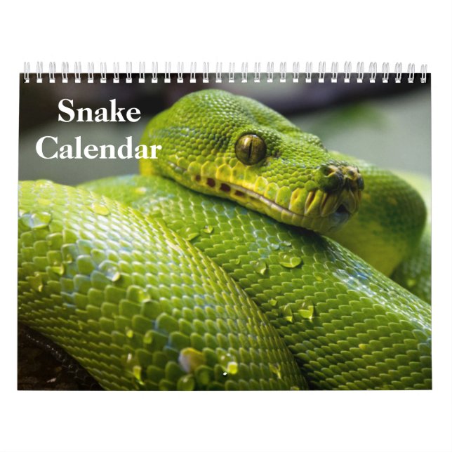 Calendrier Snake Calendar 2025 (Protection)