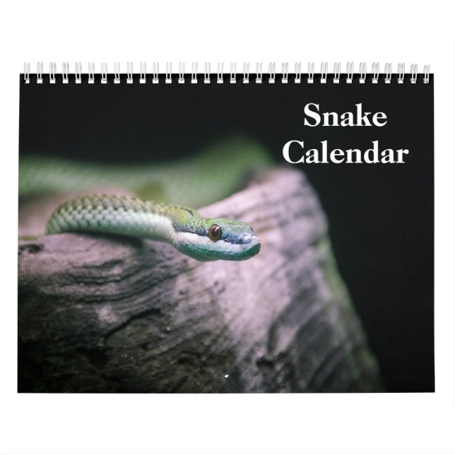 Calendrier Snake Calendar 2026 (Protection)