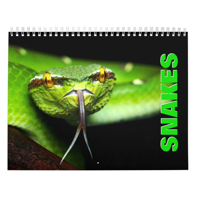 Calendrier Snakes [1] Wall Calendar (Protection)
