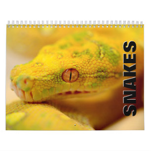 Calendrier Snakes 2022 Wall Calendar