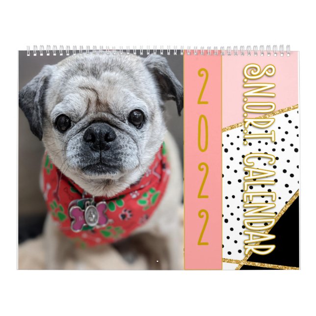 Calendrier SNORT 2022 (Protection)