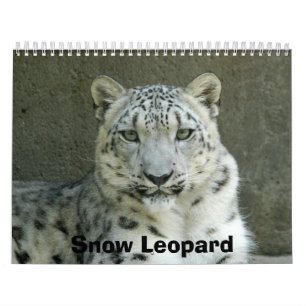 Calendrier SnowLeopardM002, léopard de neige