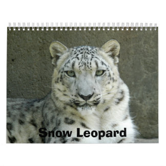 Calendrier SnowLeopardM002, léopard de neige