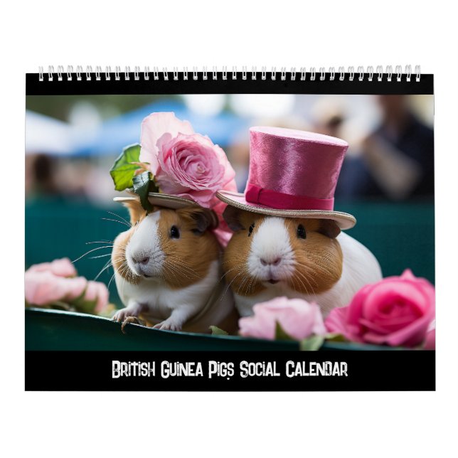 Calendrier social des Cochons de Guinée britanniqu (Protection)