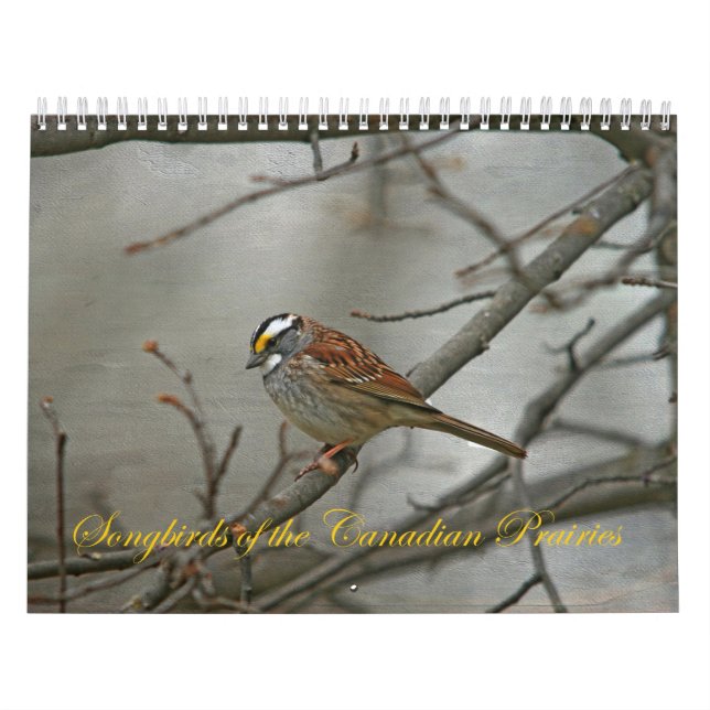 Calendrier Songbirds des Prairies canadiennes (Protection)