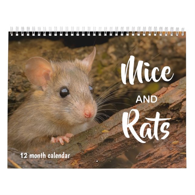 Calendrier Souris et Rats 2027 (Protection)