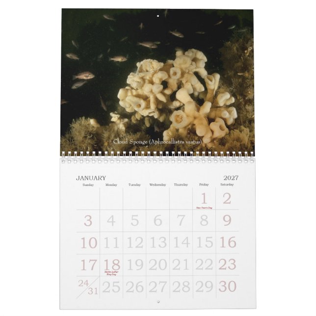 Calendrier sous-marin des voyages 2010 (Jan 2027)