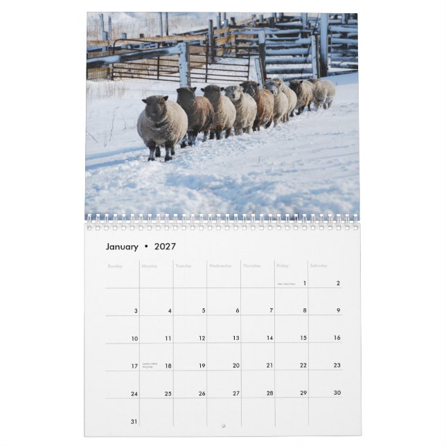 Calendrier Southdown des moutons 2013 NABSSAR de (Jan 2027)