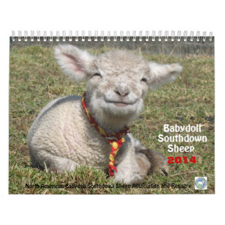 Calendrier Southdown des moutons 2014 NABSSAR de