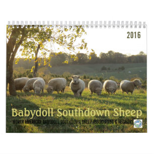 Calendrier Southdown des moutons 2016 NABSSAR de