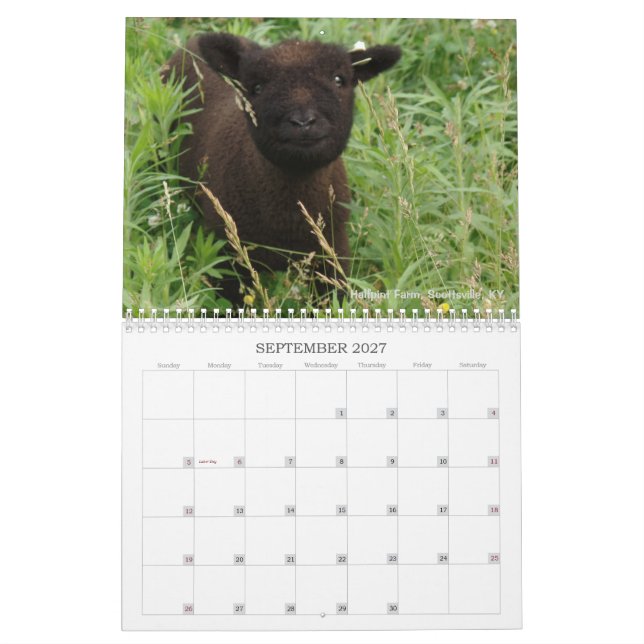 Calendrier Southdown des moutons 2017 NABSSAR de (Sep 2027)