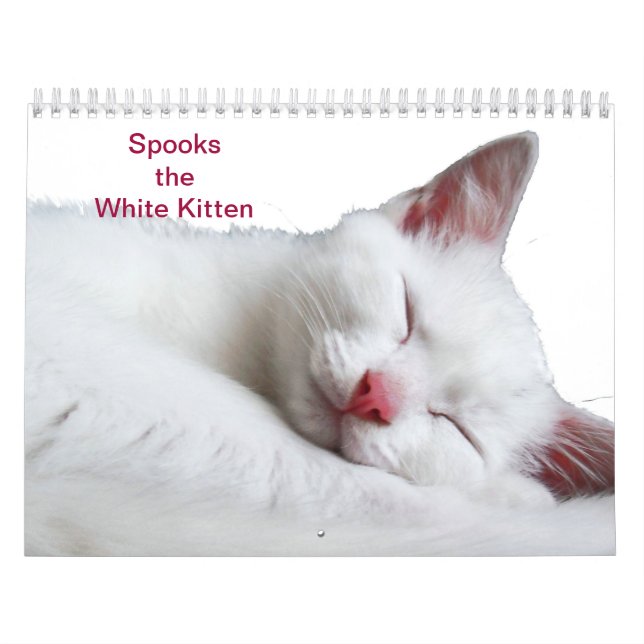CALENDRIER SPOOKS LE CHATON BLANC - CALLENDER (Protection)
