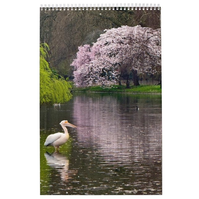 Calendrier St James's Park, Londres  (Protection)