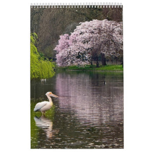 Calendrier St James's Park, Londres