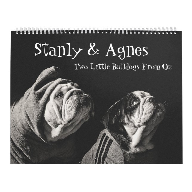 Calendrier Stanly & Agnes - Deux Petits Bulldogs D'Oz (Protection)