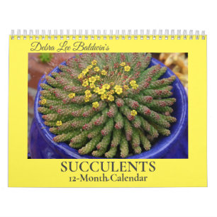 Calendrier Succulents de Debra Lee Baldwin-2 12 mois
