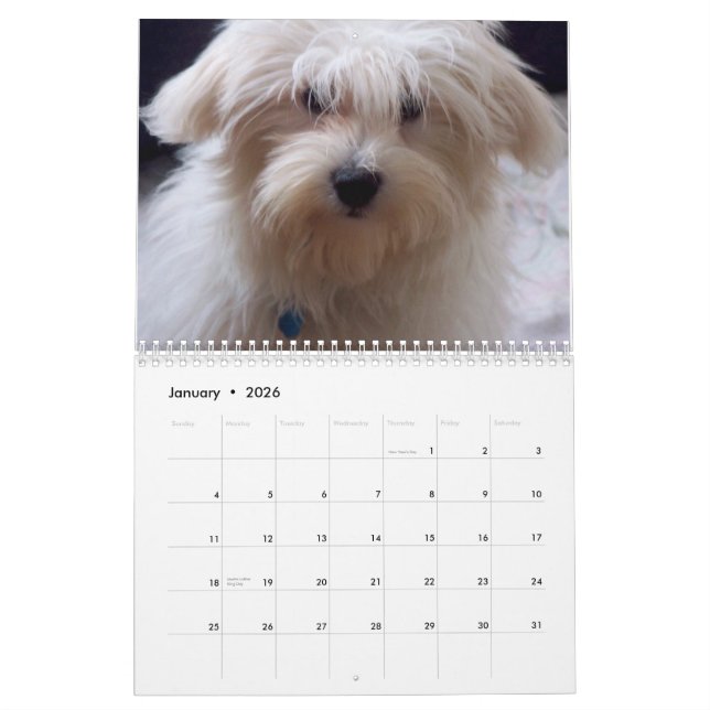 Calendrier Sucrerie de coton (Jan 2026)