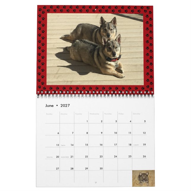 Calendrier suédois Vallhund 2024* (Jun 2027)
