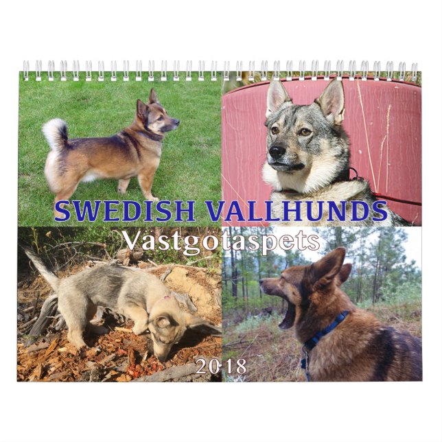 Calendrier Suédois Vallhund, Vastgotaspets, Callendar 2018 (Protection)