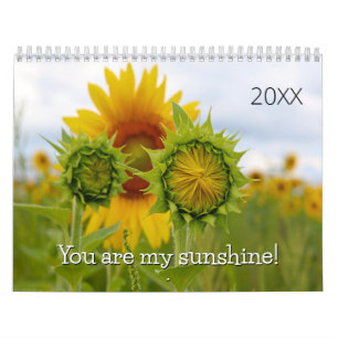 Calendrier Sunflower Photographie Citations Sunny