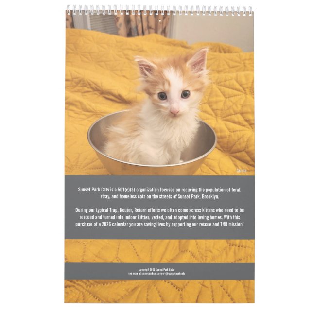 Calendrier Sunset Park Cats | 2026 Calendar | Kittens (Dos)