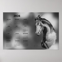 Calendrier, Superbe Cheval Étalon Affiche Annuelle