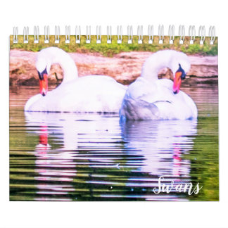 Calendrier Swan Calendar