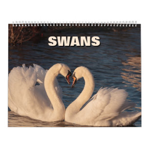 Calendrier Swans