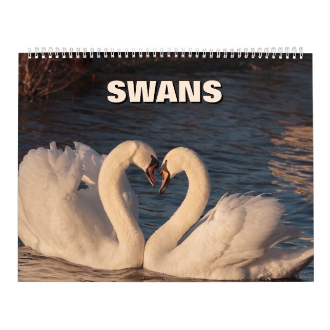 Calendrier Swans (Protection)