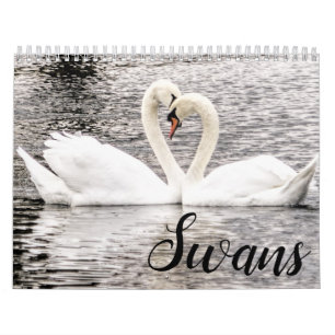 Calendrier Swans of Spring Grove