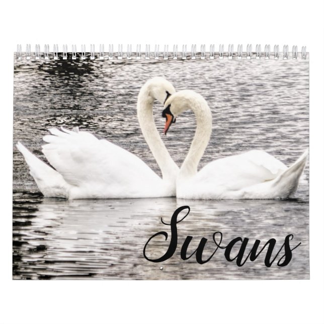 Calendrier Swans of Spring Grove (Protection)