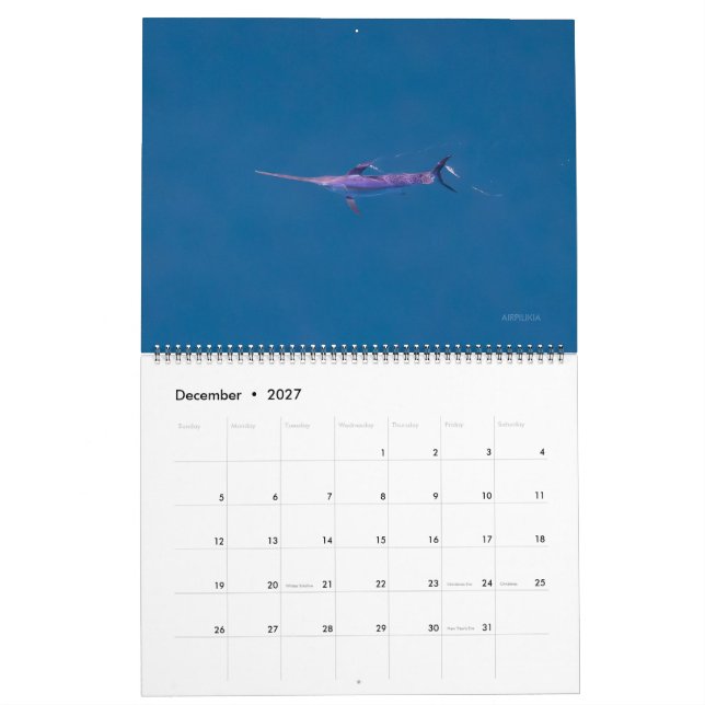 Calendrier Swordfish Only Calendar 2026 (Dec 2027)