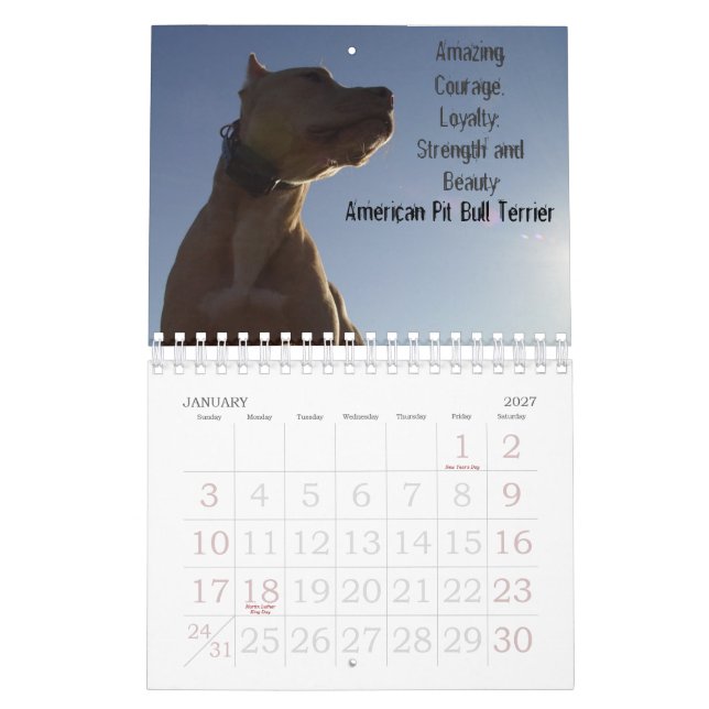 Calendrier Sydney et Ziggi 2009 (Jan 2027)