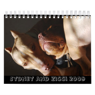 Calendrier Sydney et Ziggi 2009