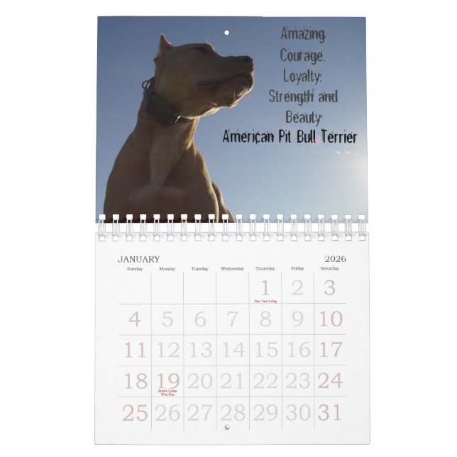 Calendrier Sydney et Ziggi 2009 (Jan 2026)