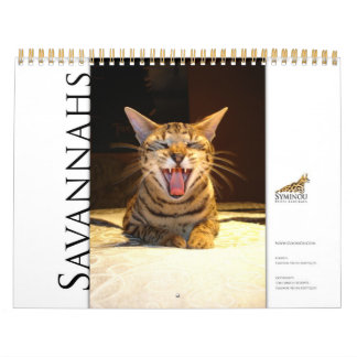 Calendrier Syminou 2018 Savannah Cat