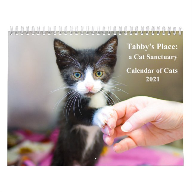 Calendrier Tabby's Place Calendar 2021 (Protection)