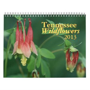 Calendrier Tennessee Fleur sauvage 2013