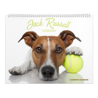 Calendrier Terriers Jack Russell