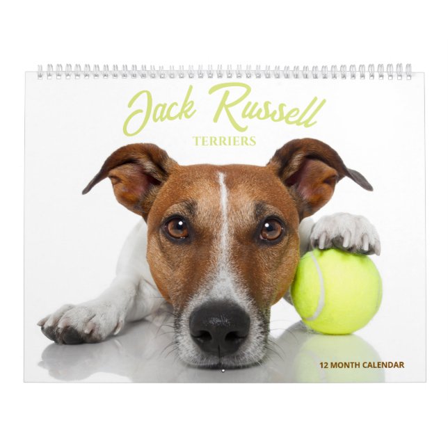 Calendrier Terriers Jack Russell (Protection)